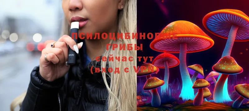 Галлюциногенные грибы Psilocybine cubensis  ОМГ ОМГ ссылка  Обнинск 